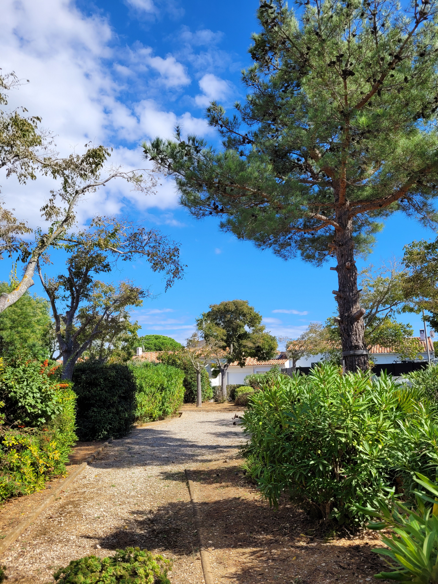 Maison-Villa - Six-Fours-les-Plages